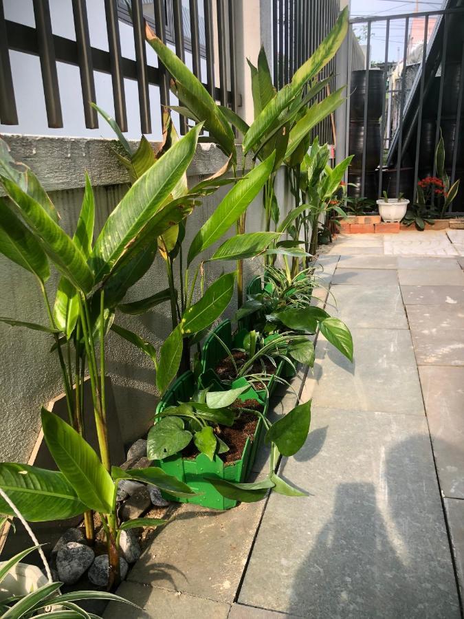 Homestay Phuong House Hoi An Eksteriør billede