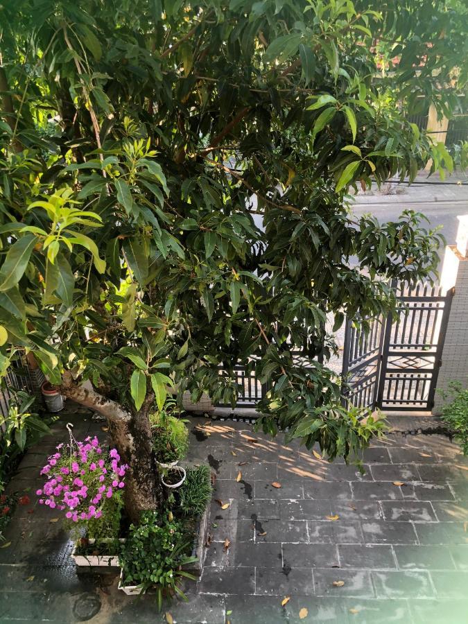 Homestay Phuong House Hoi An Eksteriør billede