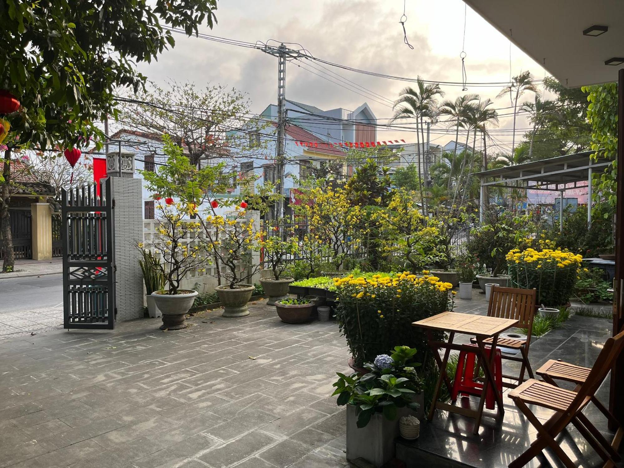 Homestay Phuong House Hoi An Eksteriør billede